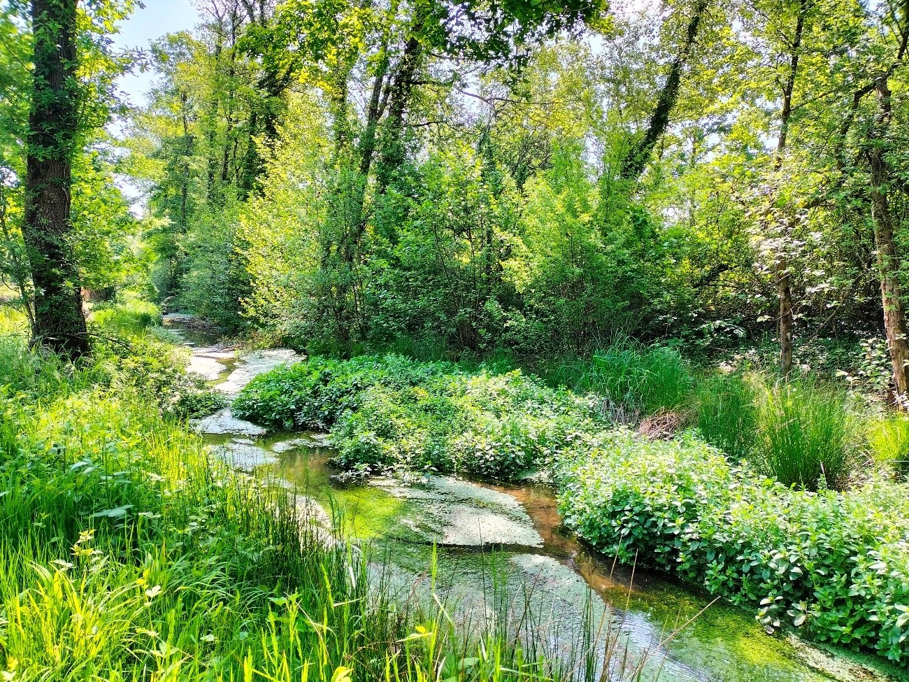 Notre agenda - Site officiel de Reyssouze et Affluents (Syndicat du