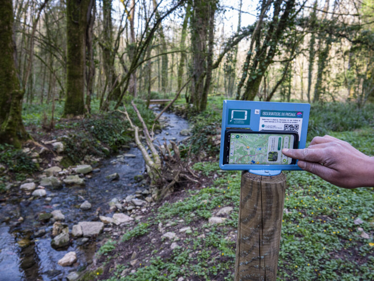 Borne de Coeur Reyssouze située au Vallon des Faulx à Ceyzériat