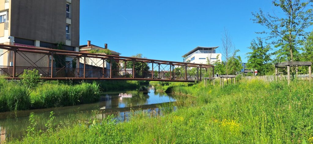 L'allée de Challes restaurées en mai 2026 (Archives R&A)