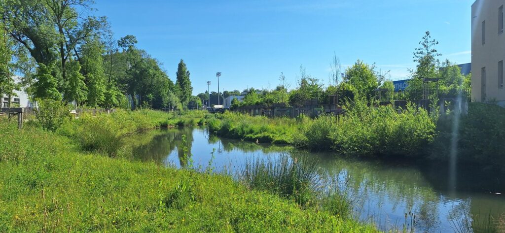 L'allée de Challes restaurées en mai 2026 (Archives R&A)